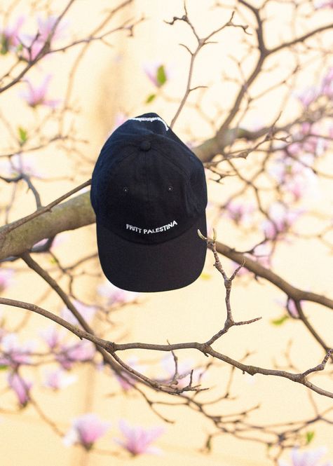 Hovedbilde Brodert caps - Fritt Palestina på norsk, svart