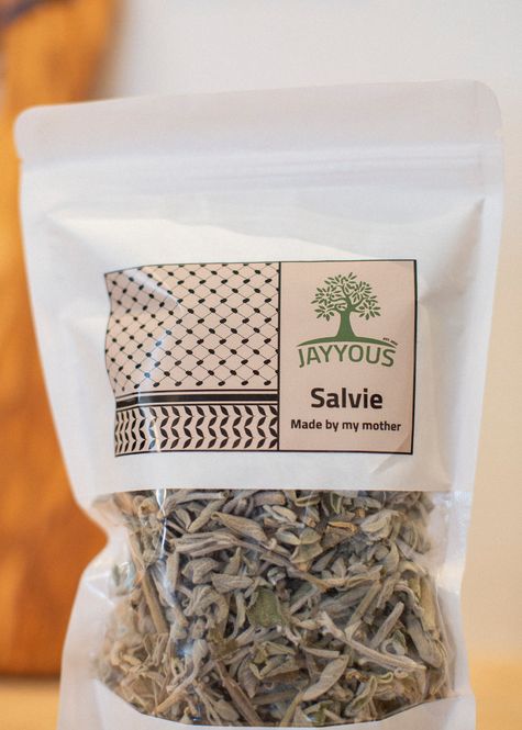 Hovedbilde Salvie - Jayyous