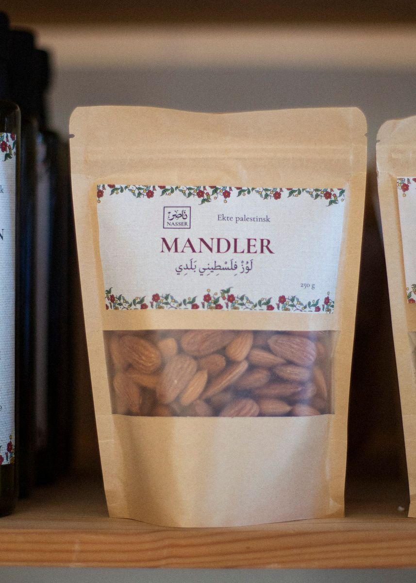 Mandler - Nasser
